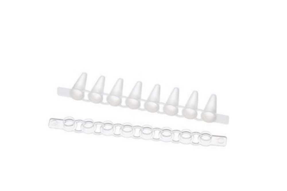 Fast PCR-Tubes 0,1 ml, 8er Strips mit separatem Deckelstreifen | Nennvolumen: 0.1 ml