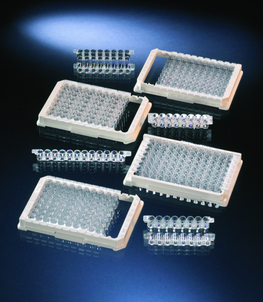 96 Well Immuno™ Module | Typ: Rahmen für Immulon Module (1 x 12)