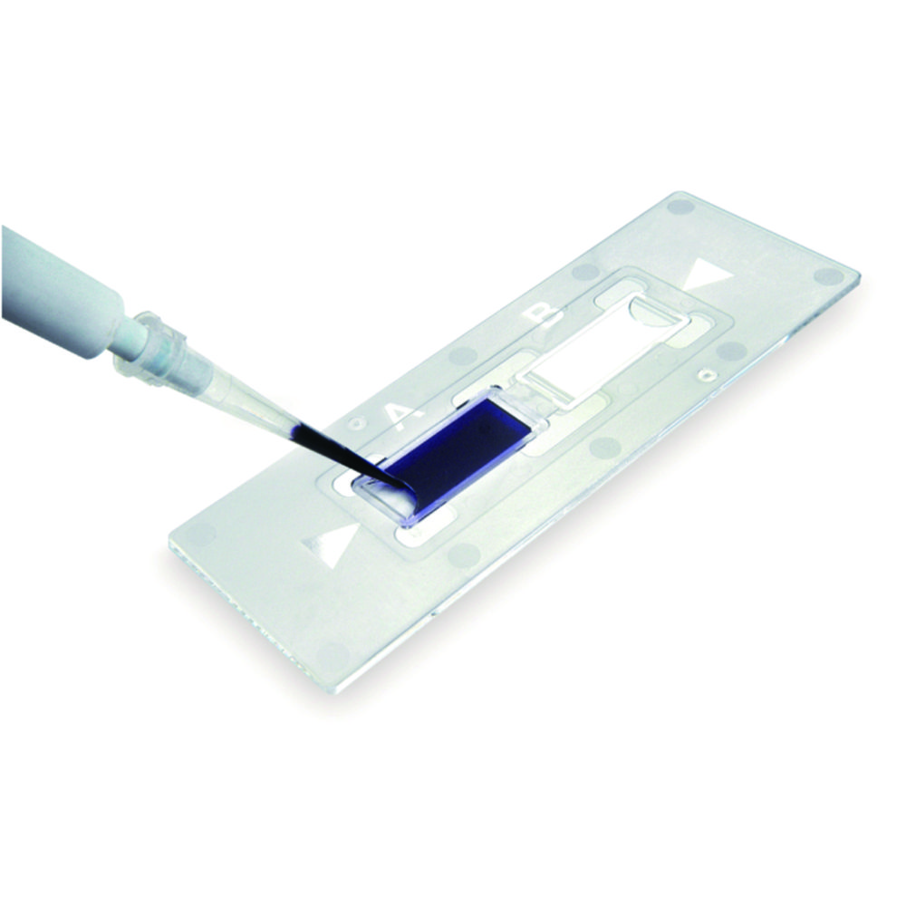 Zählkammern C-Chip, zwei Kammern | Tiefe Kammer: 0.1 mm