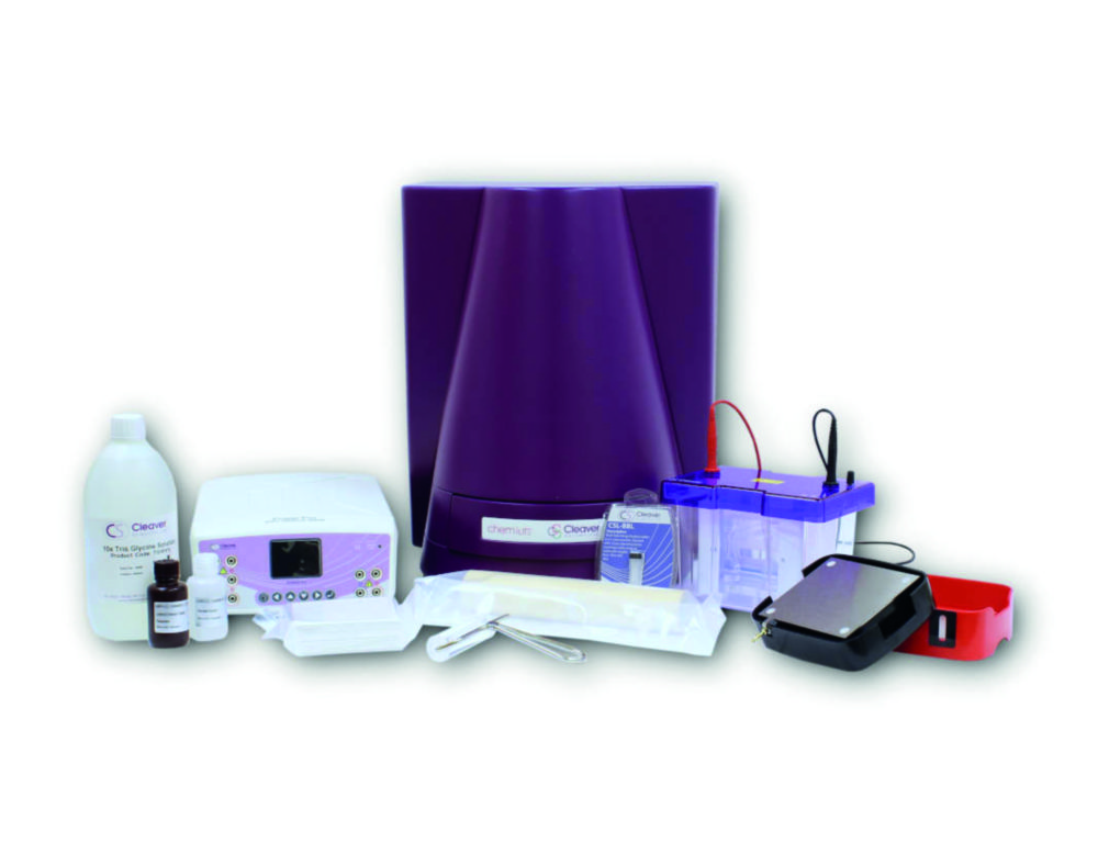 Western Blot Workflow Paket WESTERNFLOWLITE