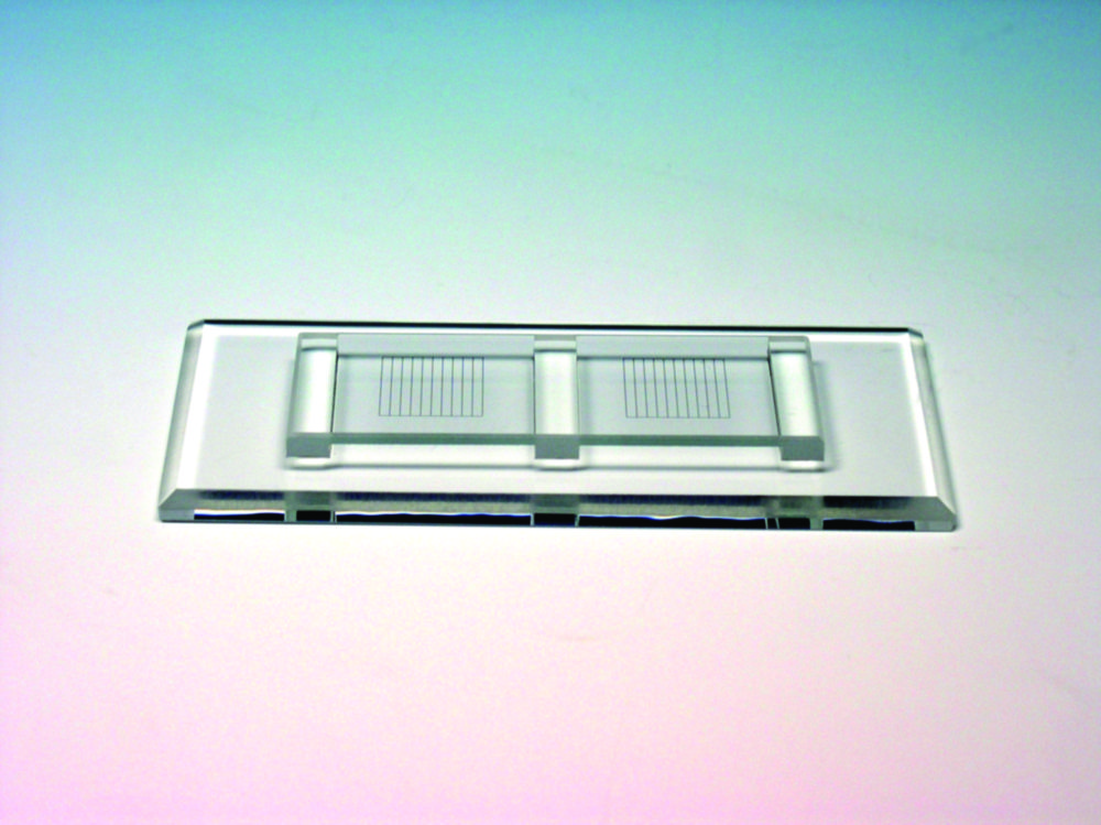 Zählkammern nach McMaster