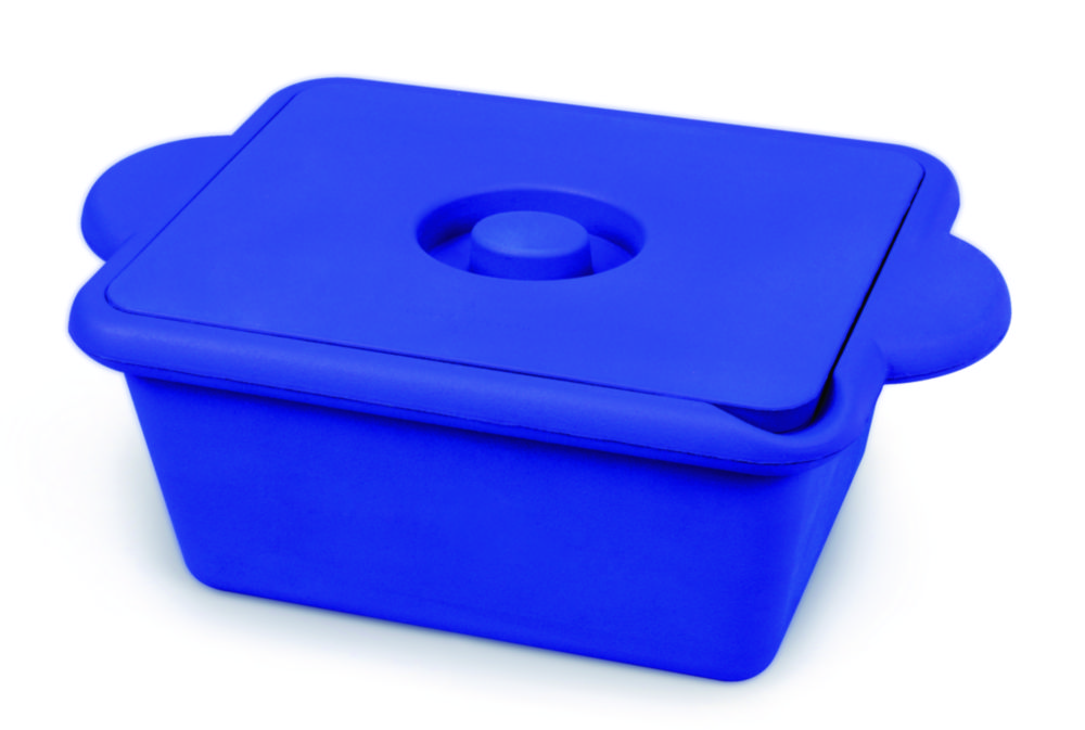 Kühlcontainer True North®, PU | Farbe: Blau, Volumen l: 4, Abmessungen (L x B x H) mm: 381 x 254 x 182