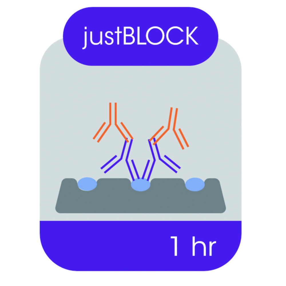 Blockierlösung für Western Blot