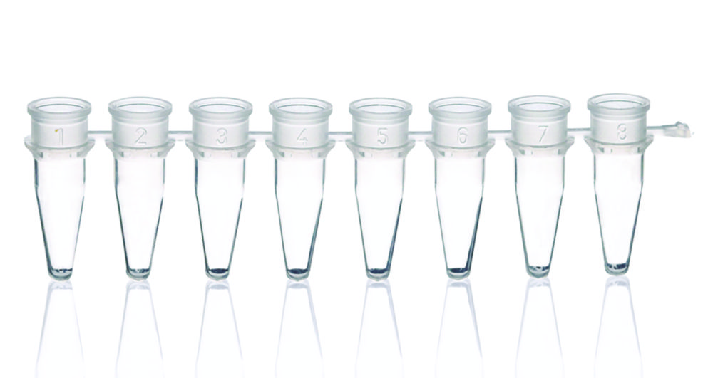 PCR-Gefäße 8er-Strips, PP, ohne Deckel