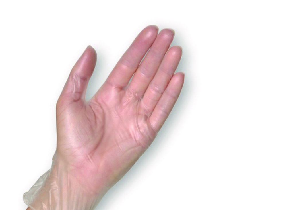 Einmalhandschuhe, Semperguard® Vinyl | Handschuhgröße: L, Länge: 240 mm, Dicke: 0.065 mm