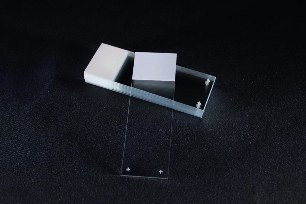 Adhäsionsobjektträger SuperFrost® Plus | Beschriftungsfeld: einseitig, Farbe: weiß auf transparent, Kanten: geschliffen 90°