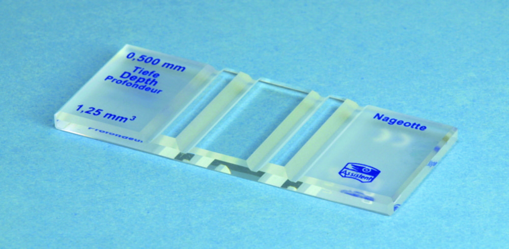 Zählkammern nach Nageotte