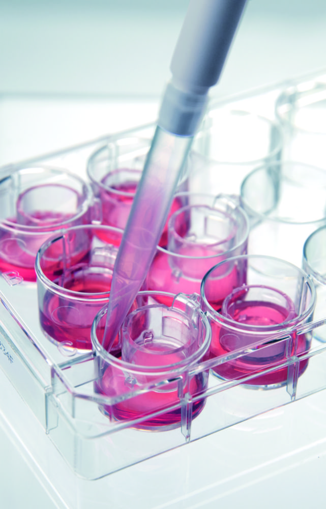 Zellkultur Inserts 2in1, für 6-Well-, 12-Well- und 24-Well-Platten