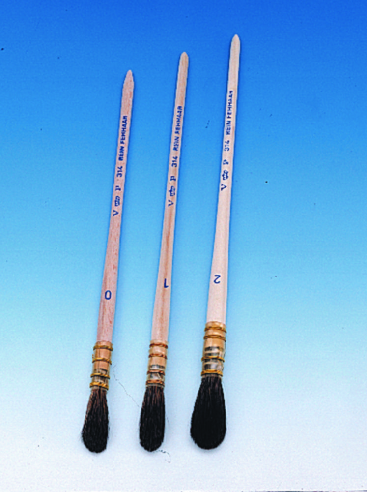 Haarpinsel, oval | Größe: 0, Ø mm: 6