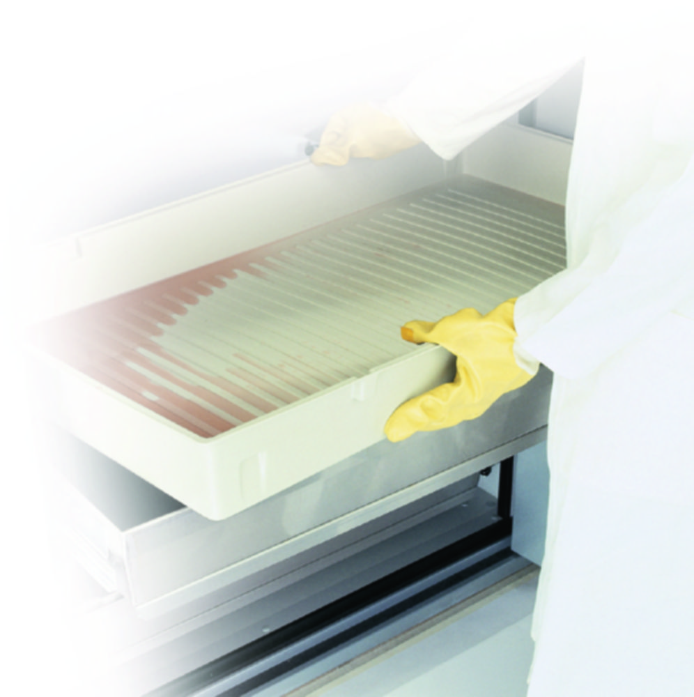 Einlegewannen für asecos Sicherheitsschränke, PP, PE | Für: Auszüge, für Schrankbreite 1200 mm, Material: PP