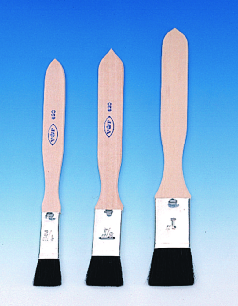 Haarpinsel, breit | Breite mm: 12.5, Haarlänge mm: 16, Stärke mm: 3.9