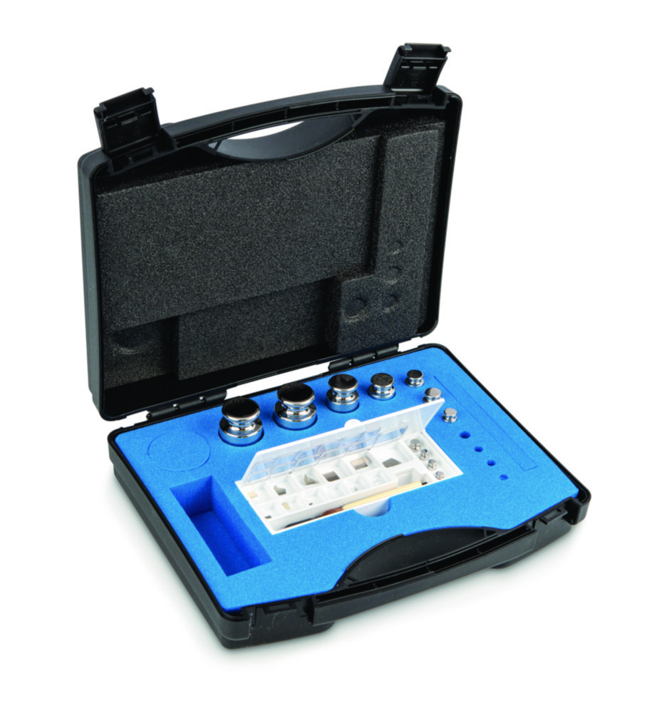 Gewichtssatz E2, Knopfform,  im Kunststoffkoffer