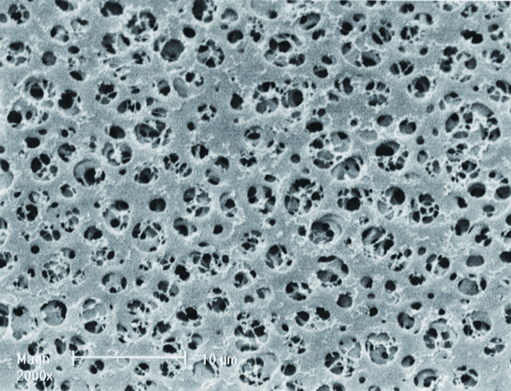 GEL-Blotting-Papiere